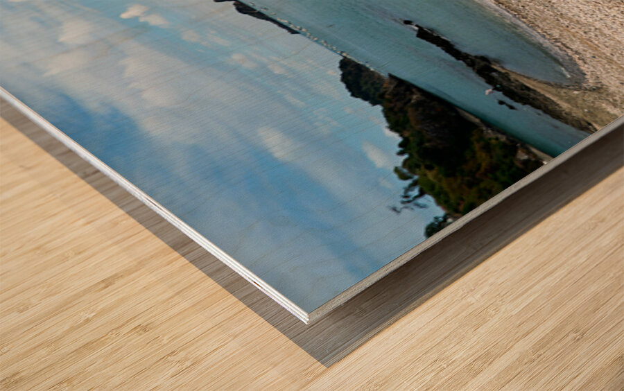 Oyster shells lay on the beach of Cancale Brittany France Wood print