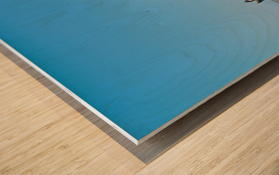 Tourists walking along the path to Mont Saint Michel in Normandy Wood print