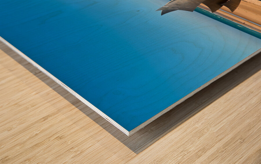 Visit to Omaha Beach in Normandy France with memorial sculpture Wood print