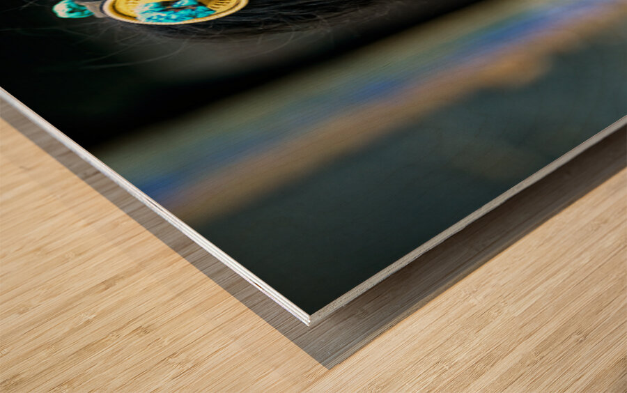 Traditional woman carries child in Tibet with ornate hair decora Wood print