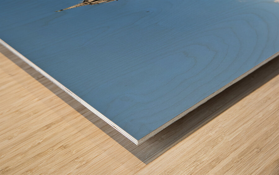 Explore marienplatz and the rathaus in munich germany Wood print