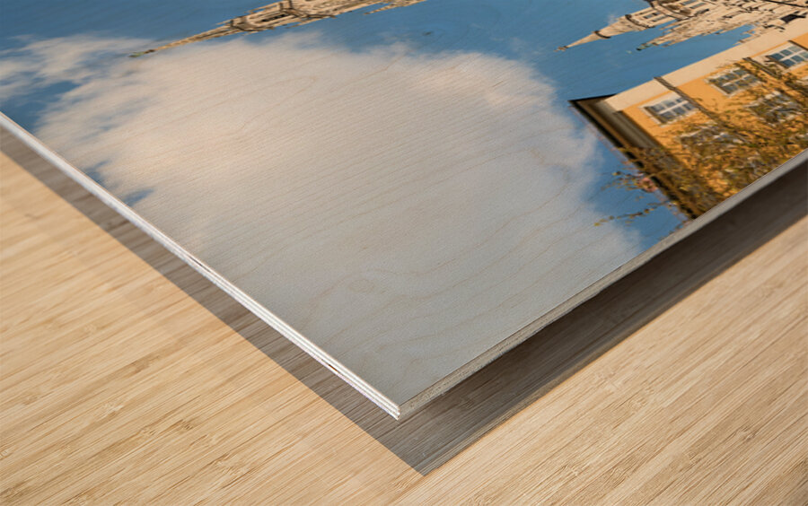 Crowd gathers near town hall in Marienplatz Munich Germany Wood print