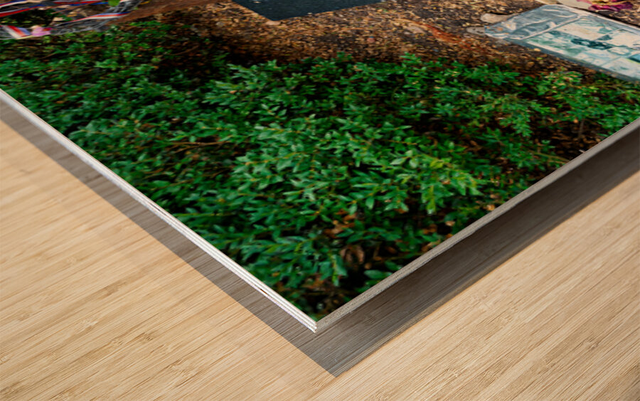 Memorial for Jan Palach and Jan Zajíc victims of communism. Wood print