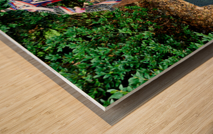 Memorial for Czech heroes Jan Palach and Jan Zajíc. Wood print