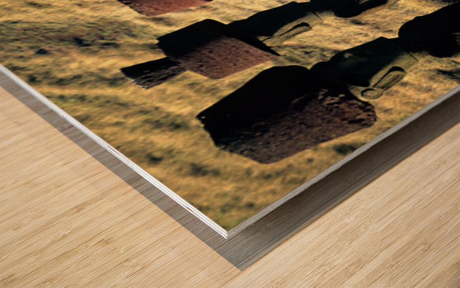 Easter Island Moai statues with red hats on a hillside. Wood print