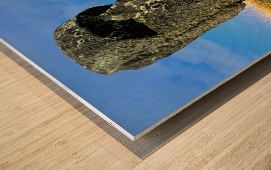 Iconic Moai statue stands tall on Easter Island. Wood print