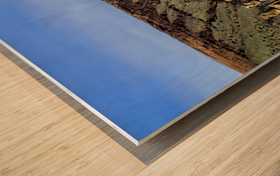 Easter Island Moai statues against ocean and cliffs. Wood print