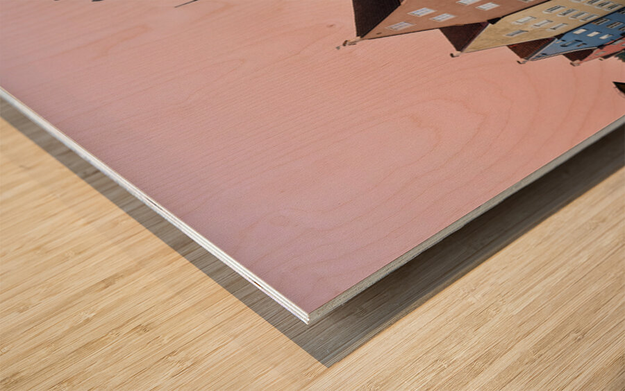 Historic buildings in Fussen on the Romantic Road in Germany Wood print