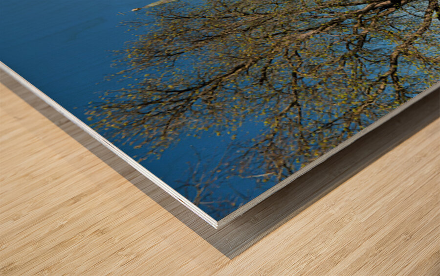 Explore Maria Geburt Church in Rottenbuch Bavaria along Romanti Wood print