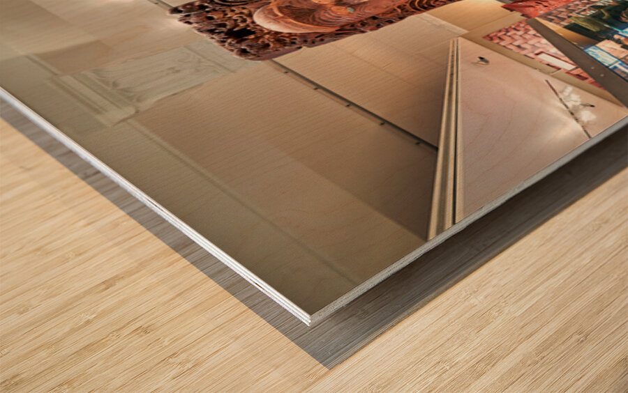 Visit to maori natural history gallery in auckland war memorial  Wood print