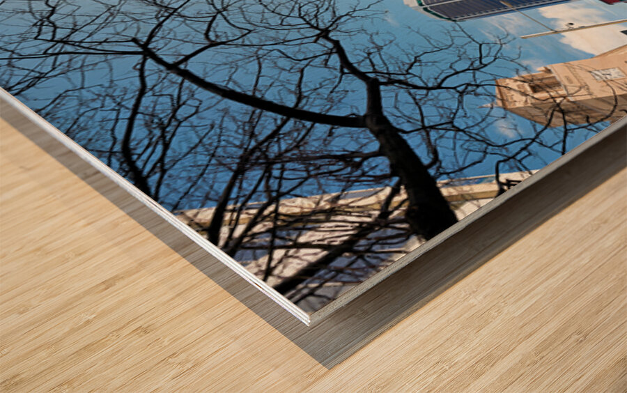 Modern architecture and Sky Tower in Auckland New Zealand Wood print