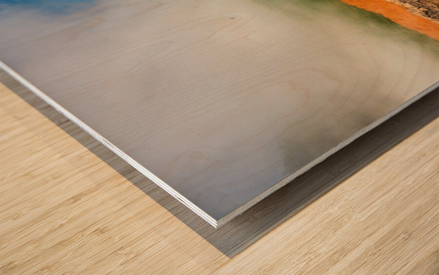 Explore champagne pool at waiotapu thermal wonderland in rotorua Wood print