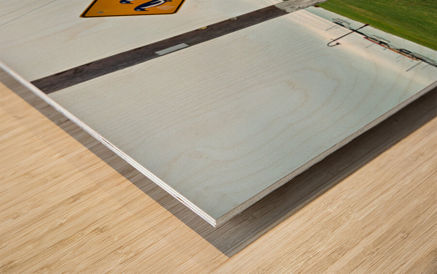 Penguin crossing sign alerts wildlife in Oamaru NZ Wood print