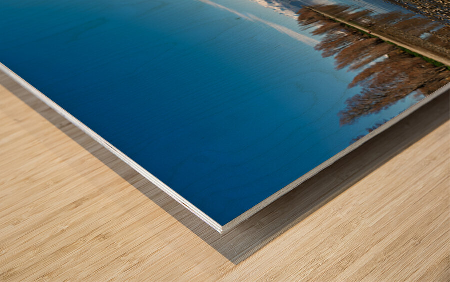 Wanaka Tree in Lake Wanaka on a clear day Otago Wood print