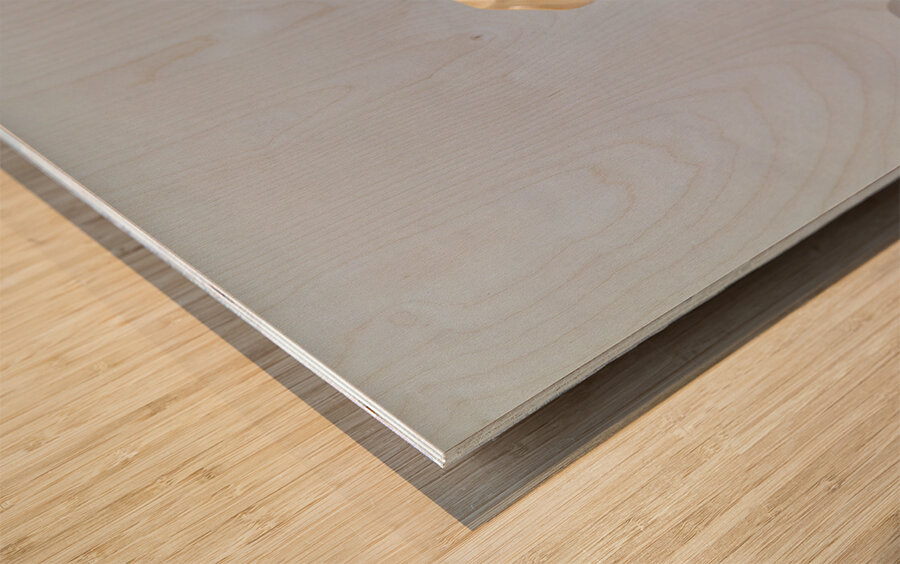 Berninis Clement X bust in Galleria Nazionale dArte Antica Wood print