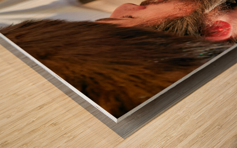 Prayer at the wailing wall in jerusalem by orthodox jews Wood print