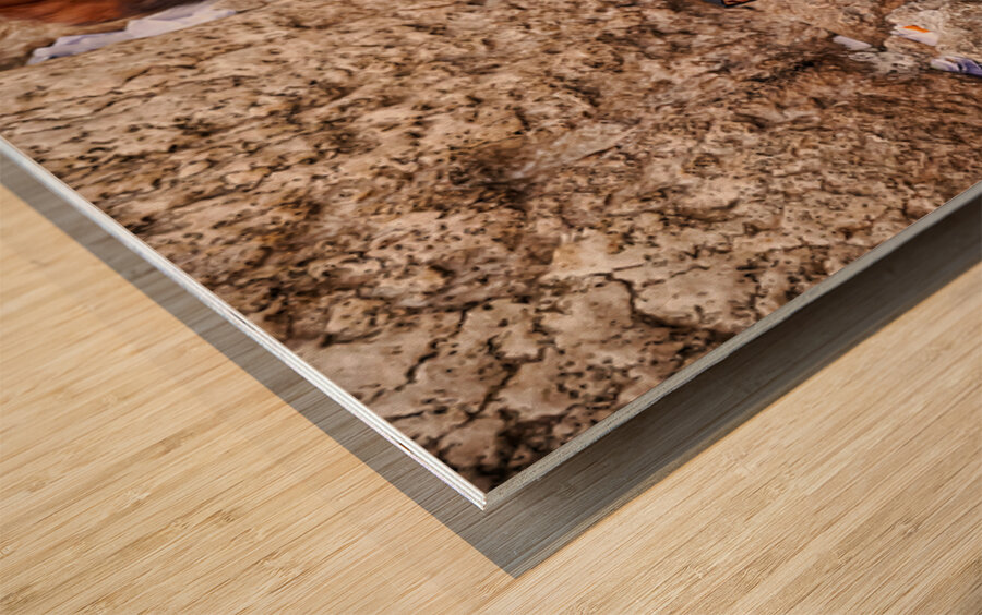 Prayers at the wailing wall in jerusalem israel Wood print