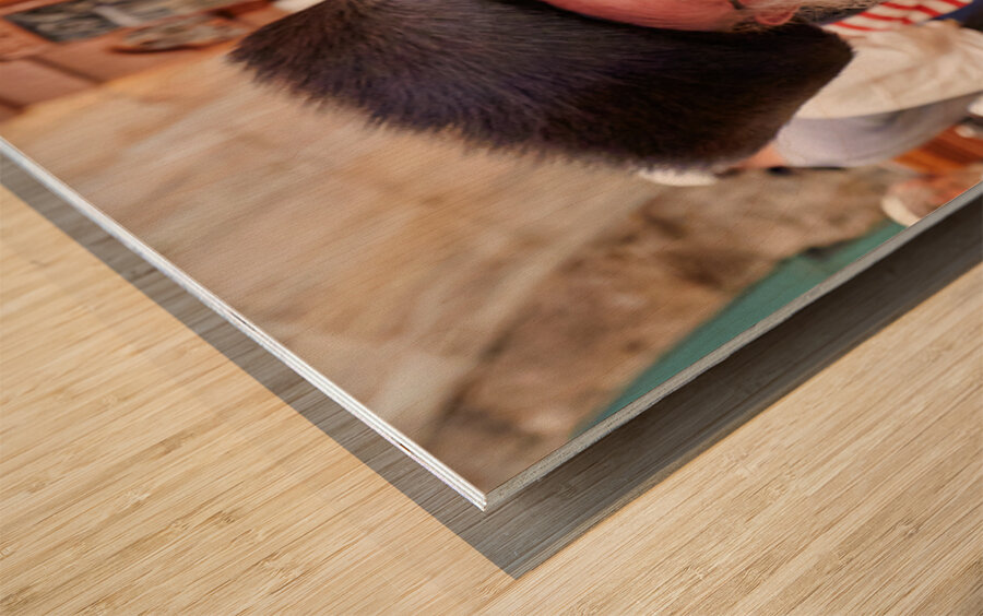 Orthodox Jews pray at the Wailing Wall in Jerusalem Israel Wood print