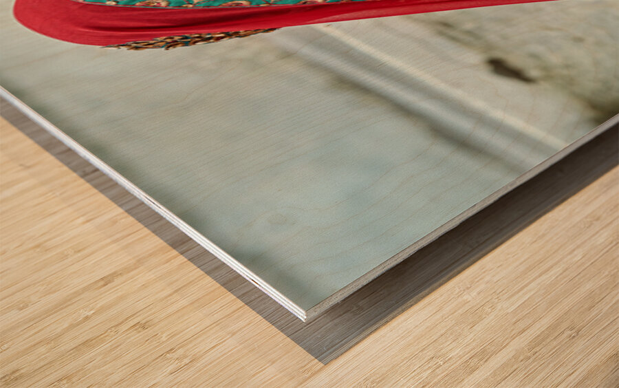 Portrait of a woman in traditional dress in Mandawa Rajasthan Wood print