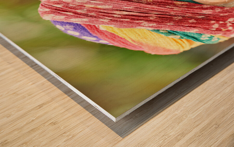 Senior man in colorful turban in Deshnok Rajasthan India Wood print