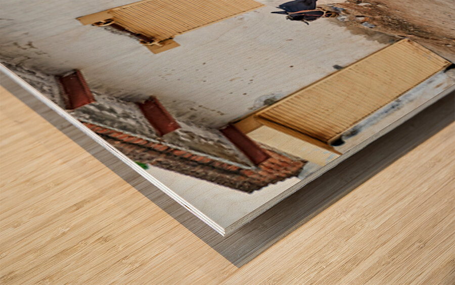 Man walking with cow in Mandawa streets Rajasthan India Wood print