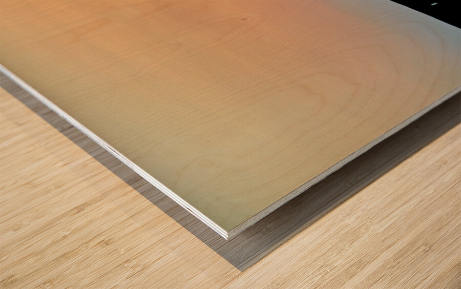 Sunset view at Khimsar Fort in Rajasthan India Wood print