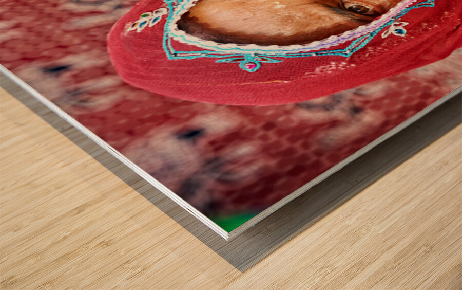 Portrait of a woman in traditional dress from Jaisalmer India Wood print