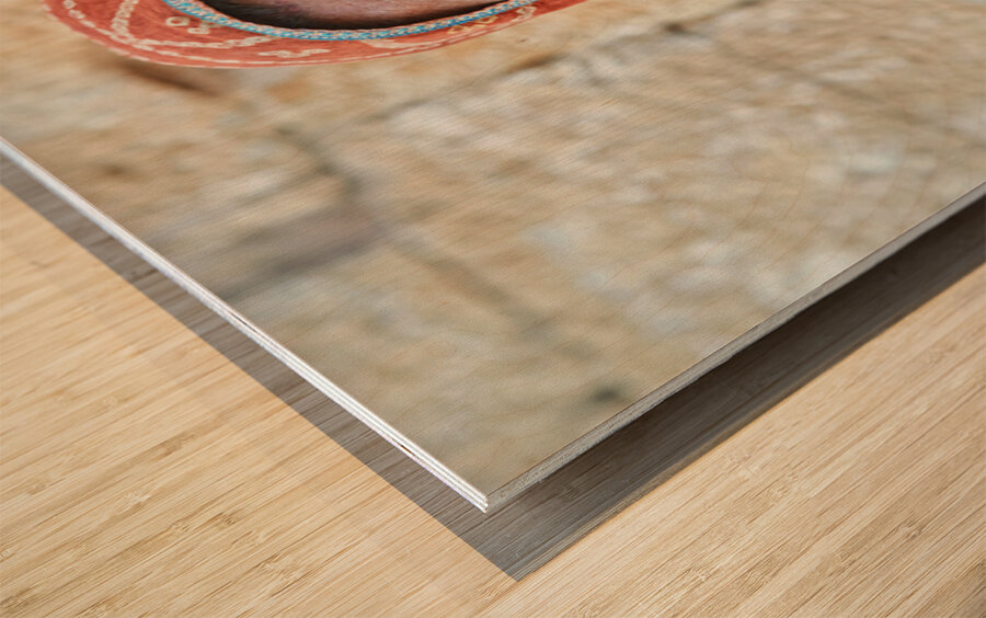 Portrait of a woman in Jaisalmer Rajasthan India Wood print