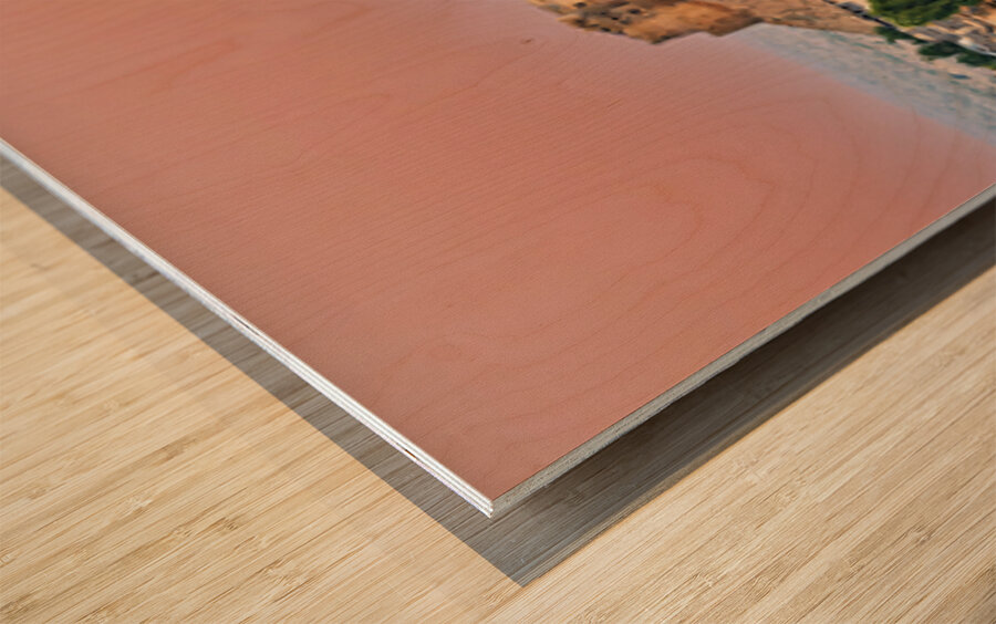 Cityscape of Jaisalmer during sunset in Rajasthan Wood print