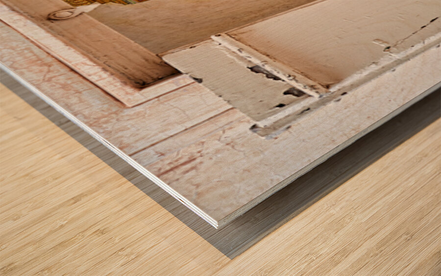 Artwork of a seated figure in Mehrangarh Fort Jodhpur Rajastha Wood print