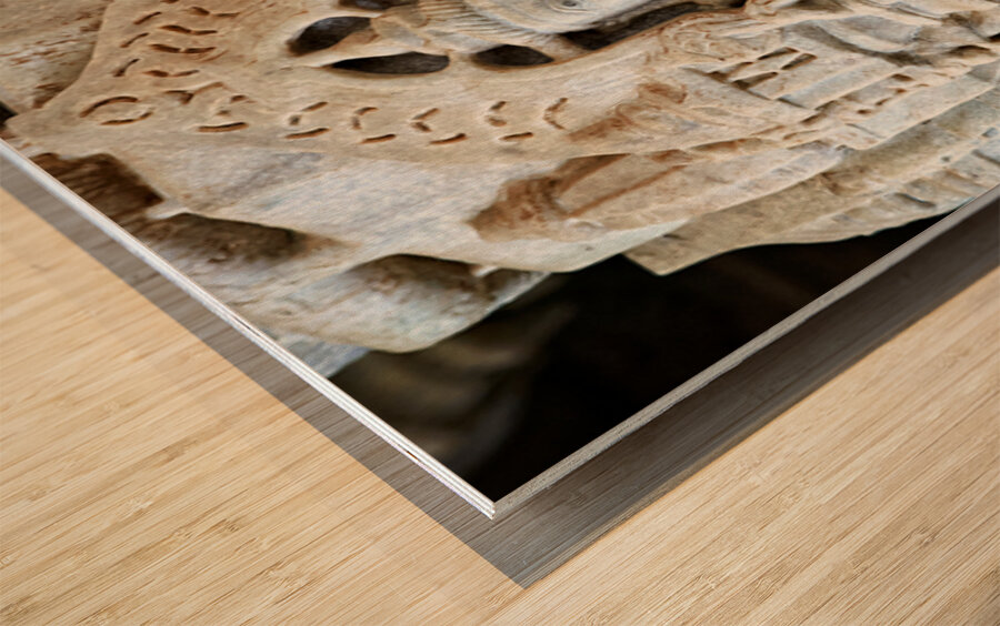Carved statue inside Jain temples in Ranakpur Rajasthan Wood print