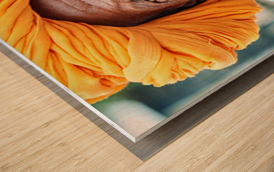 Old man in Bundi Rajasthan showing traditional culture and attir Wood print