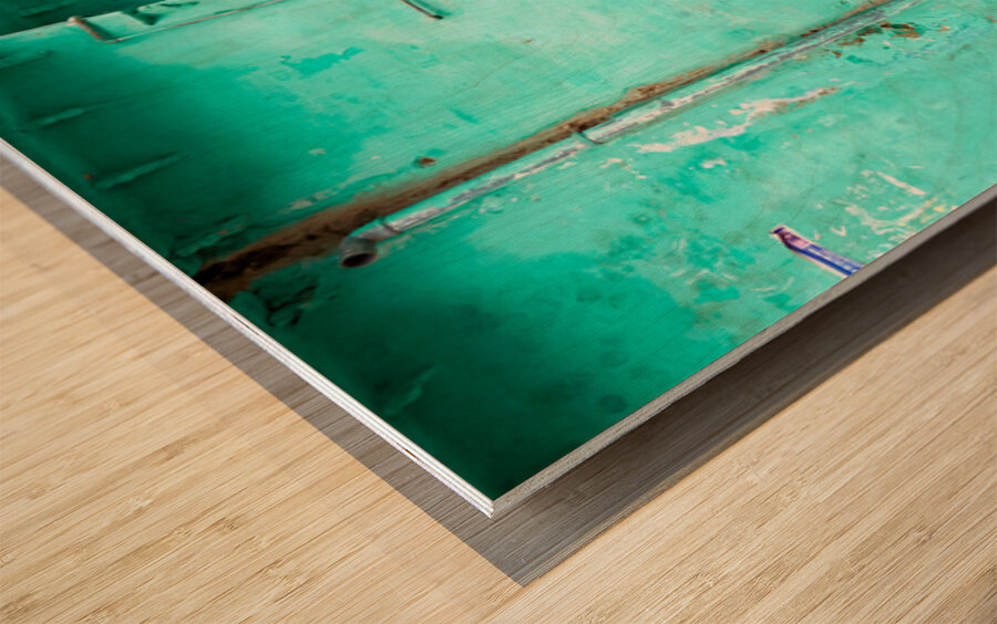 Decorated painted house in Bundi Rajasthan Wood print