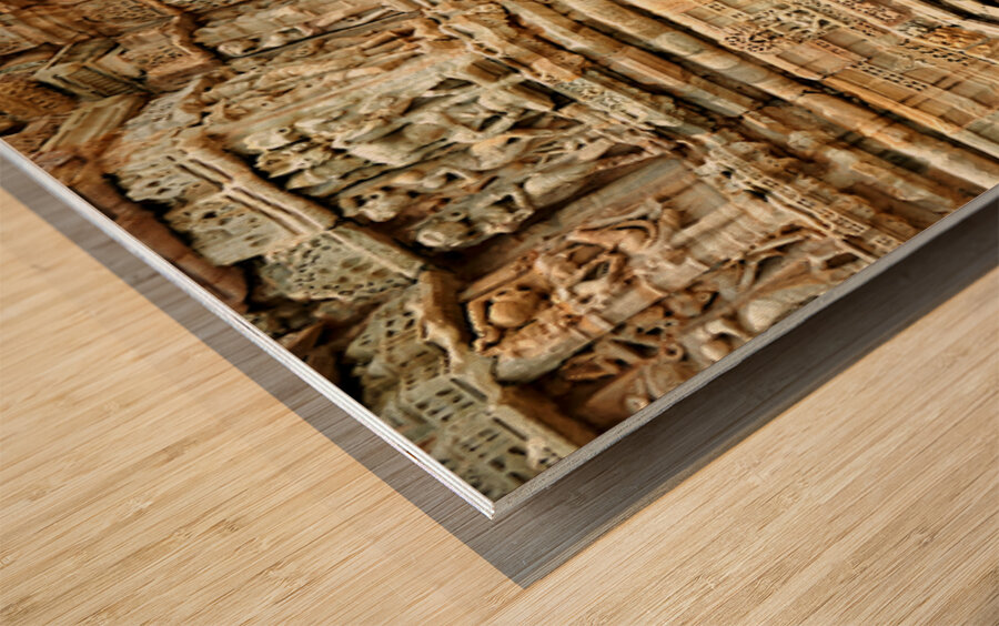 Rajasthan Chittorgarh Fort showcases detailed stone carvings Wood print