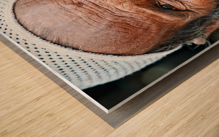 Old man in Rajasthan Jodhpur with a long beard and thoughtful ga Wood print