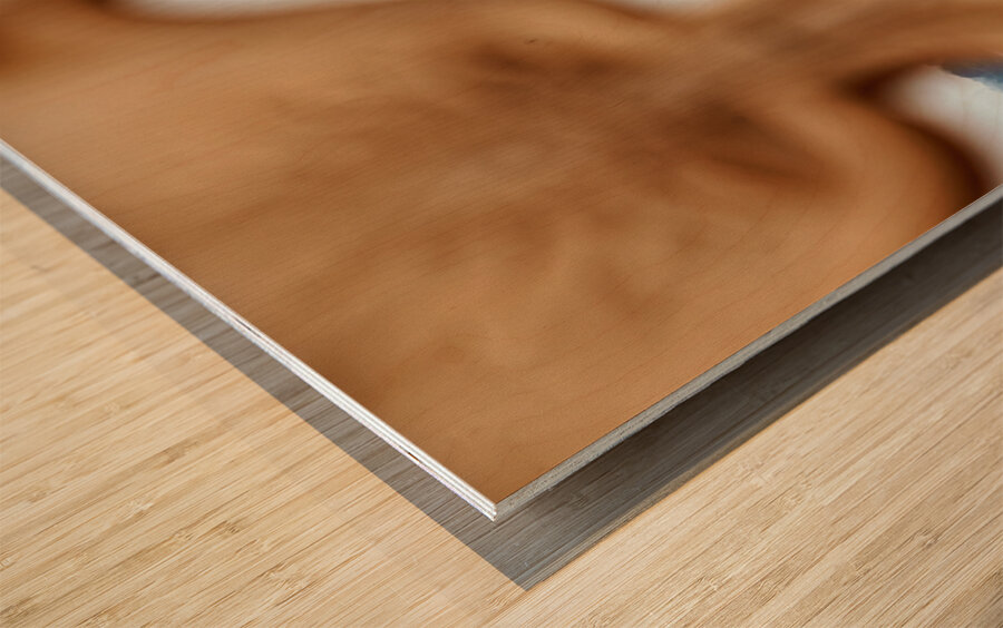 View of Taj Mahal Palace from a distance in Agra India Wood print