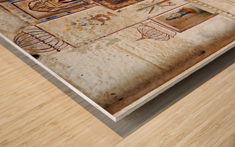 Decorations and paintings at Taragarh Fort in Bundi Rajasthan Wood print