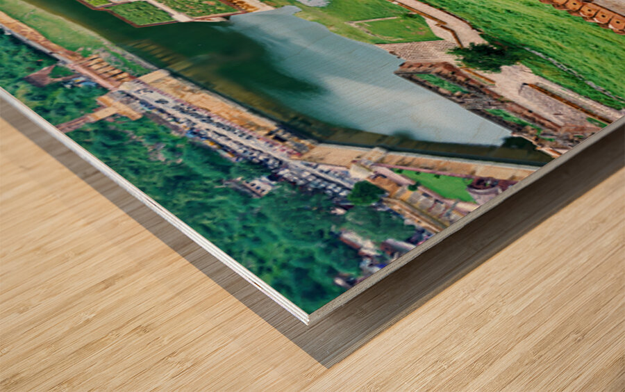 Exploring Amber Palace in Rajasthan with visitors and elephants Wood print