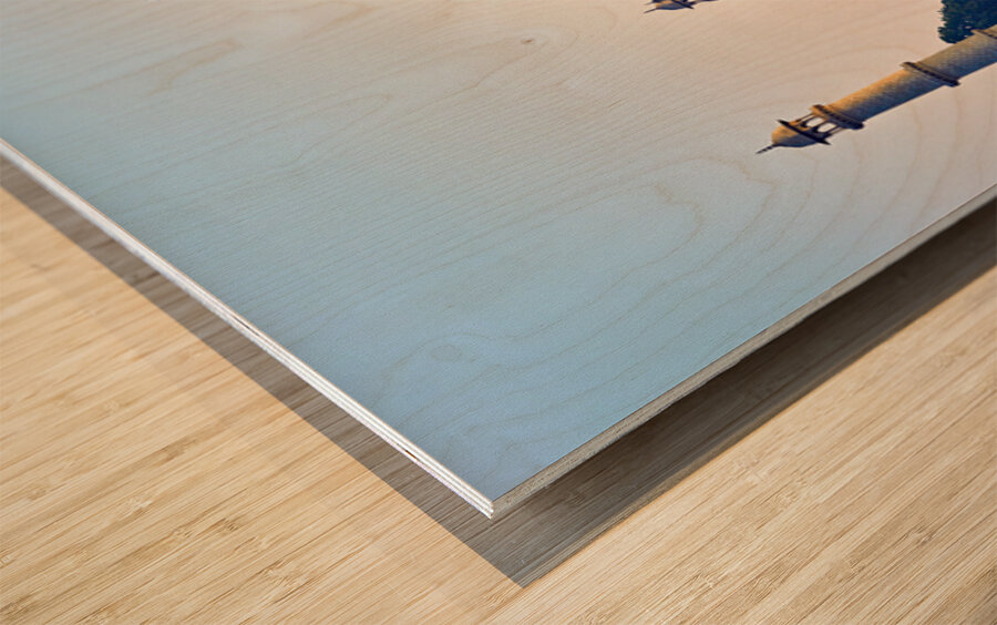 Visit to the Taj Mahal in Agra India during the evening light Wood print