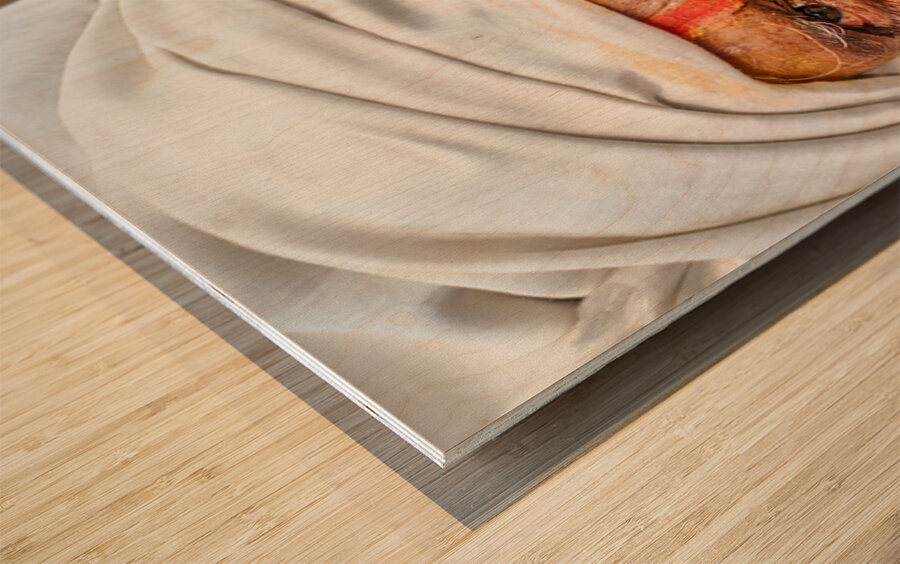 Man with white beard and turban in Orchha Madhya Pradesh India Wood print