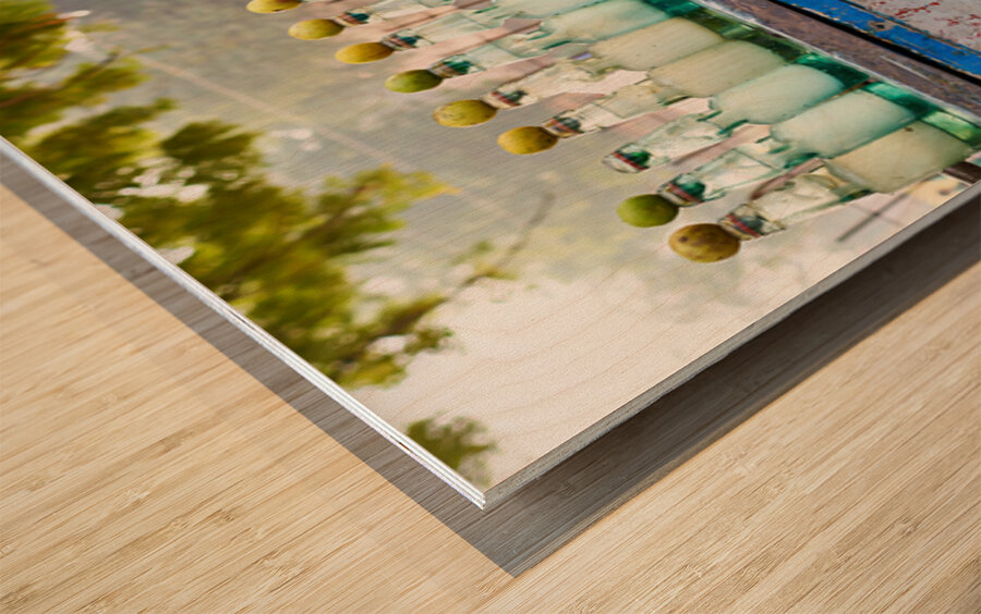 Selling refrigerated water bottles in Delhi India Wood print