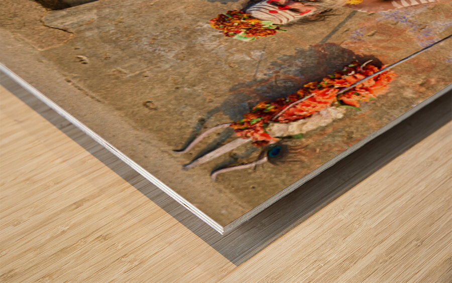 Portrait of a holy man sadhu in Orchha Madhya Pradesh India Wood print