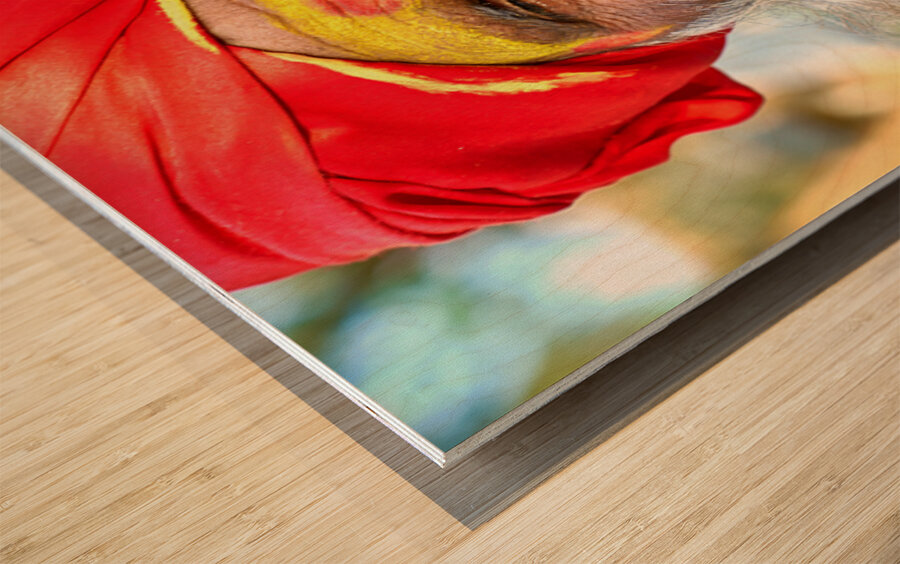 Portrait of holy man sadhu in Orchha Madhya Pradesh India Wood print