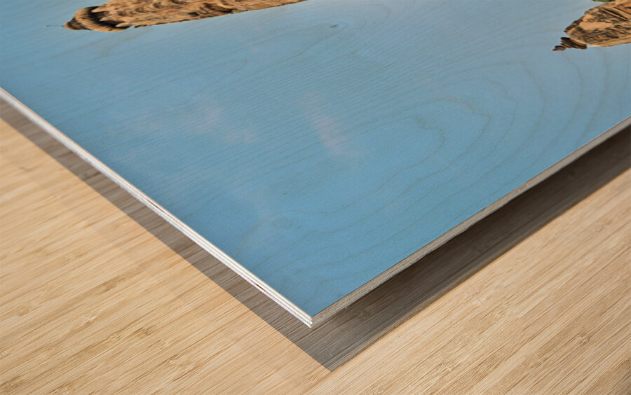 Visit to Khajuraho temples in Madhya Pradesh India Wood print