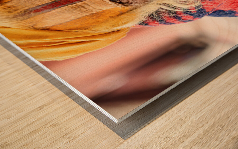 Old holy man in Varanasi wearing bright colors in Uttar Pradesh Wood print