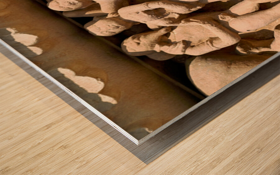 Discovering the intricate carvings at Khajuraho temples Wood print