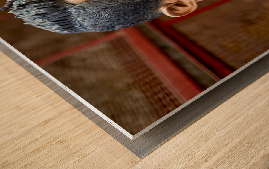 Statues of Christmas nativity scene at artisan workshops in Napl Wood print