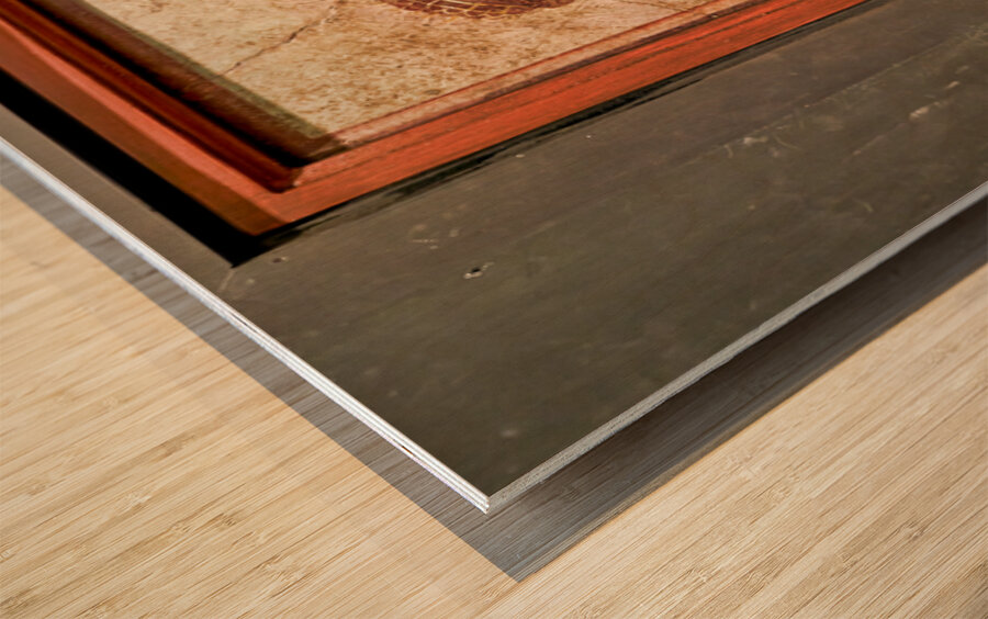 Discovering ancient frescoes at Naples Archaeological Museum Wood print