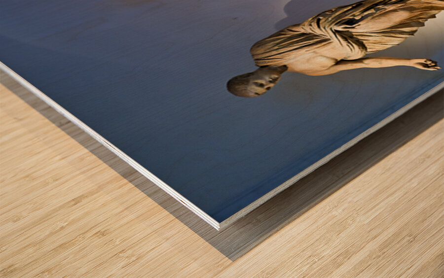 Statues of ancient philosophers displayed in museum setting Wood print