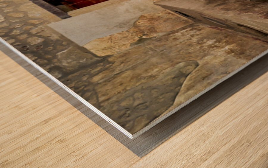 History of ancient Roman city of Pompeii in Naples Campania Ital Wood print